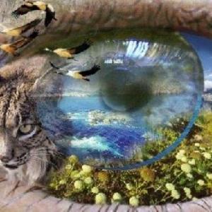INTELIGENCIA NATURALISTA