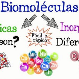 Características fundamentales de las Biomoléculas
