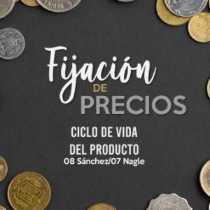 Fijación de Precios 08 Sánchez/07 Nagle