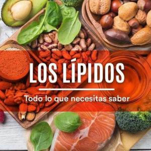 LIPIDOS