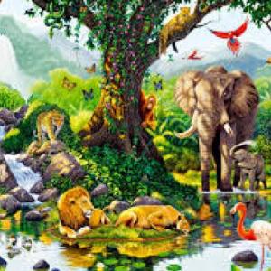 La reproducción y el desarrollo en los animales