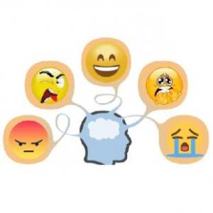 Las Emociones