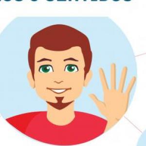 Memoria de los órganos de los 5 sentidos 