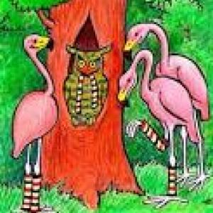 Las medias de los flamencos.