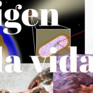 juego de la teoría de la vida