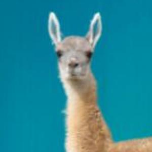 Trivia de ciencias naturales