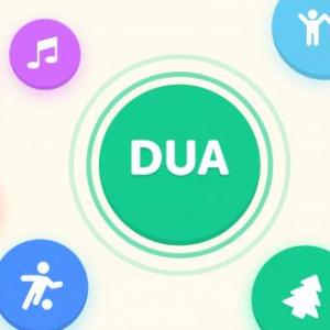 Dimensiones del DUA