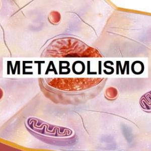 Bioenergética y metabolismo KJBNM