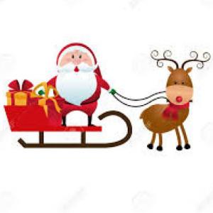Oca de Navidad
