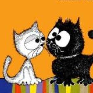 Gato negro,gato negro.Axel y Alexander