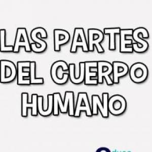 El cuerpo humano