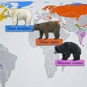 Evidencias Biogeográficas