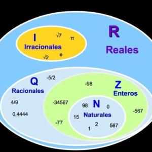 CARACTERÍSTICAS DE LOS NÚMEROS REALES