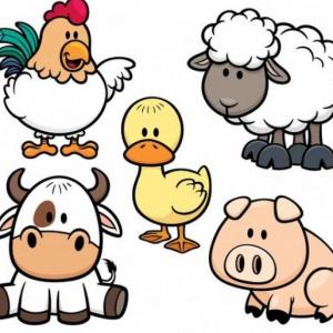 Animales ovíparos y vivíparos. 