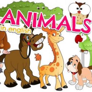 The animals/Los animales