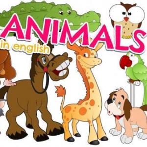 The animals/Los animales
