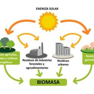 Energia a partir de biomasa test