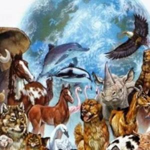 Imagen de portada del videojuego educativo: LOS ANIMALES , de la temática Ciencias