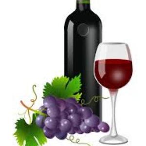 Rioja wine quest