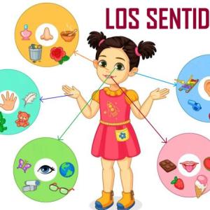 Memoria de los sentidos