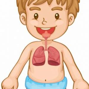 Sistema Respiratorio