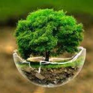 Aprendamos sobre las plantas