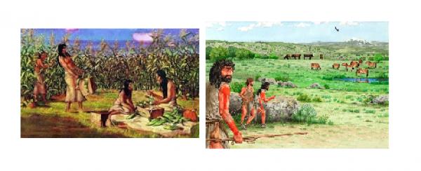 Pueblos Originarios en Argentina