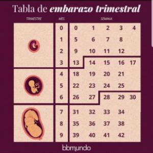 Embarazo