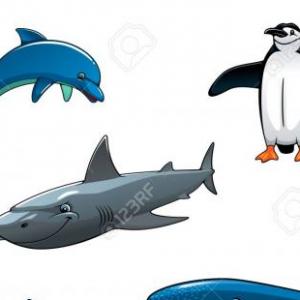 Delfin,Tiburon Y Pingüino 