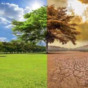 Imagen de portada del videojuego educativo: Protocolo kioto , de la temática Medio ambiente