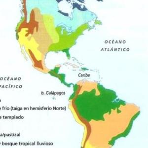 Biomas De América