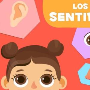 Los sentidos
