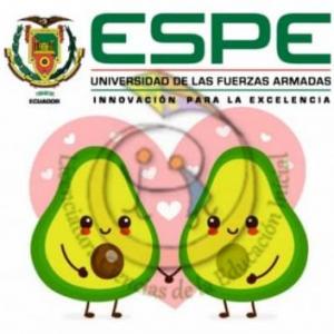 Encontrando parejas