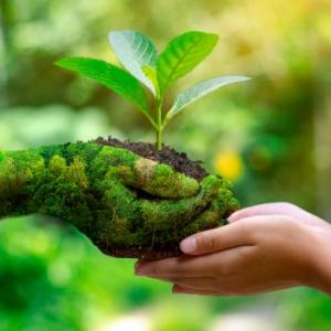 Imagen de portada del videojuego educativo: Elementos de la naturaleza, de la temática Medio ambiente