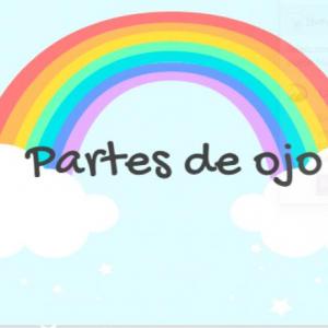 Los órganos de los sentidos