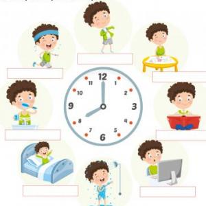 Daily routine