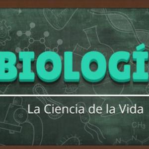 Bases de la biología prueba