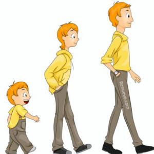 El ciclo de la vida
