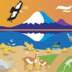 Portada del juego Zonas de Chile, Flora y Fauna – Cultura general