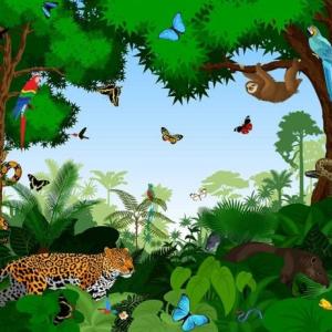 Aplicación- Los Ecosistemas