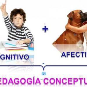 Pedagogía Conceptual 