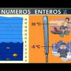 El desafío de los enteros