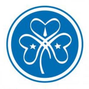 Insignias Alitas
