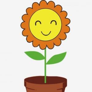 PARTS DE LES PLANTES I LES FLORS