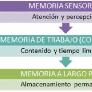 Teoría del procesamiento de la información
