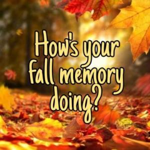 How's your fall memory doing?