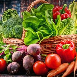 Los alimentos