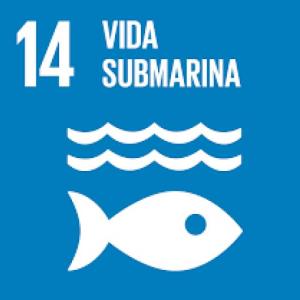 VIDA SUBMARINA