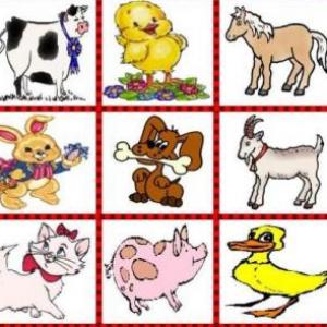 Los animales