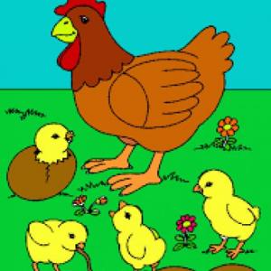 CUENTO DEL POLLITO DESOBEDIENTE